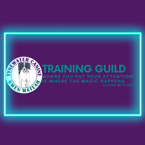 TRAINING GUILD MEMBERSHIP - ANNUALLY