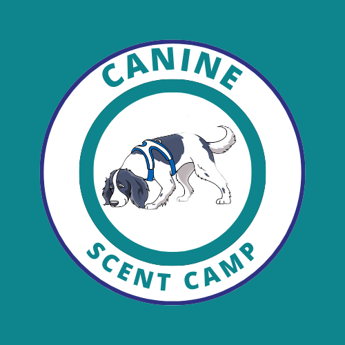 CANINE SCENT CAMP