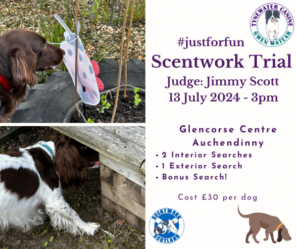 FUN SCENTWORK TRIAL